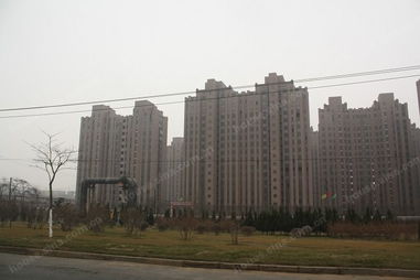 衡逸園 大連房地產開發中的精致生活樣本