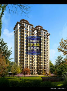 金灣山城 山海之間的品質棲居，全景呈現