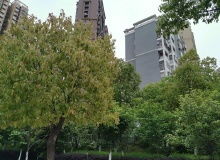 大連房地產資訊網——資訊中心·大連樂居·大連房地產開發動態聚焦